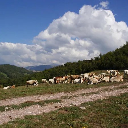 Luxurious Holiday In Gubbio With Pool Ferienhaus *
